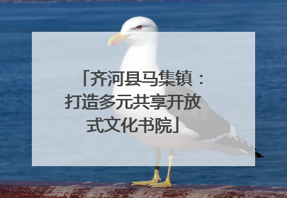 齐河县马集镇：打造多元共享开放式文化书院